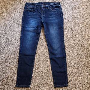 Dark Wash Skinny Judy Blue 13/31